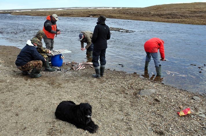 Как мы летний рыболовный сезон в Арктике открывали