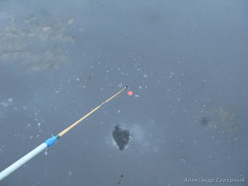 Отчет о таежной рыбалке на первом льду с блеснами AQUA.