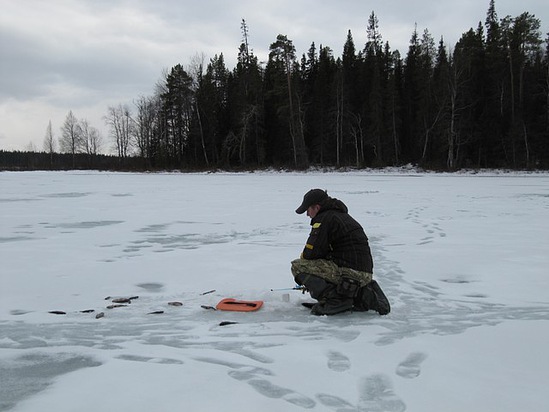 Отчет о рыбалке зимой на окуня. Зимняя блесна с подвесным тройником.