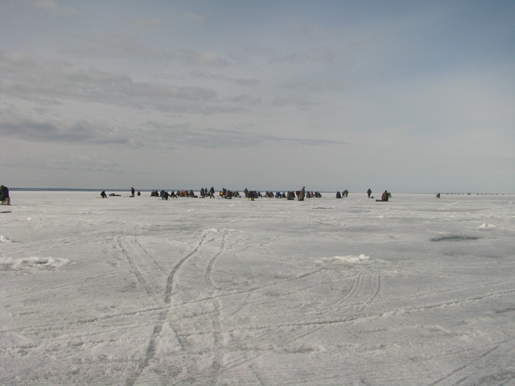 Отчет о зимней рыбалке на Ладожском озере. Зимний балансир на окуня.