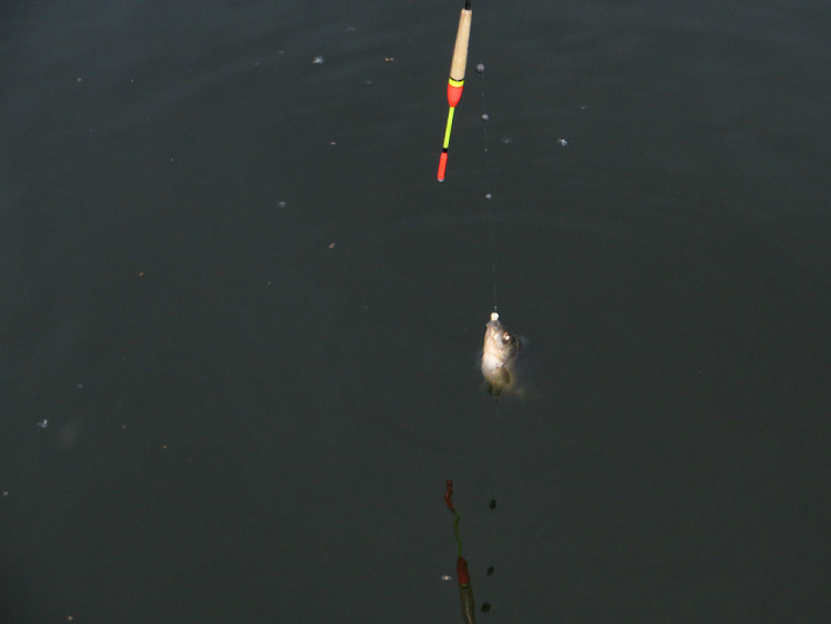 Фотоотчет об осенней рыбалке на карася