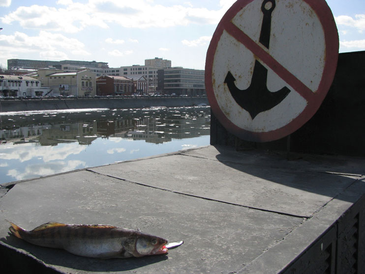 Статья о городской рыбалке на Москва-реке со снастями Аква.