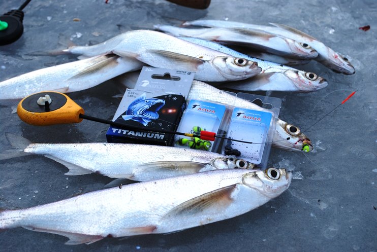 Фотоотчет о рыбалке с зимними шнурами компании Аква.