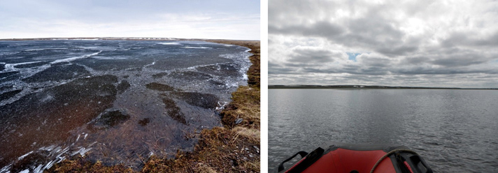 Фото отчёт о летней рыбалке. Автор в статье расскажет о ловле хариуса на блесна.