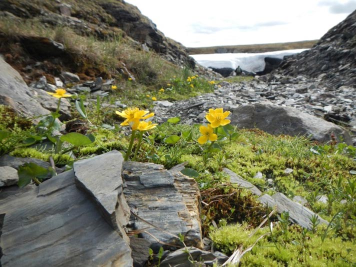 Фото отчёт о летней рыбалке. Автор в статье расскажет о ловле хариуса на блесна.