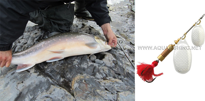 Фото отчёт о летней рыбалке. Автор в статье расскажет о ловле хариуса на блесна.