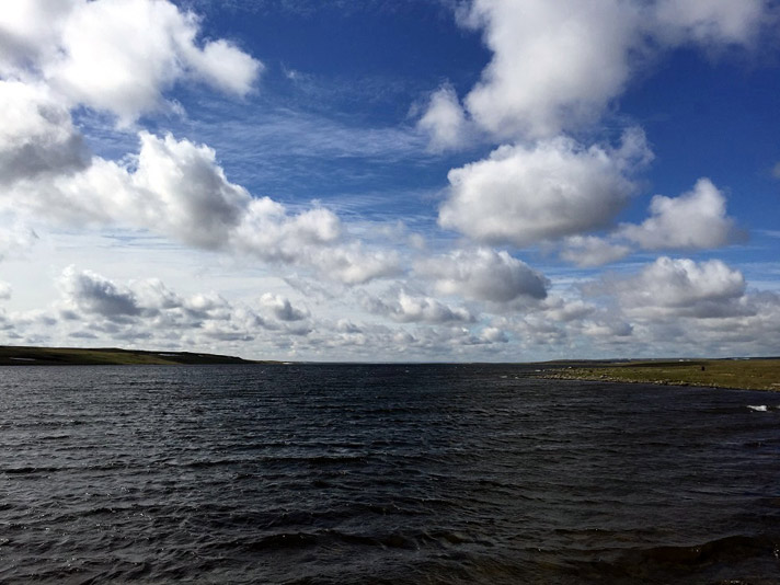 Фото отчёт о летней рыбалке. Автор в статье расскажет о ловле хариуса на блесна.