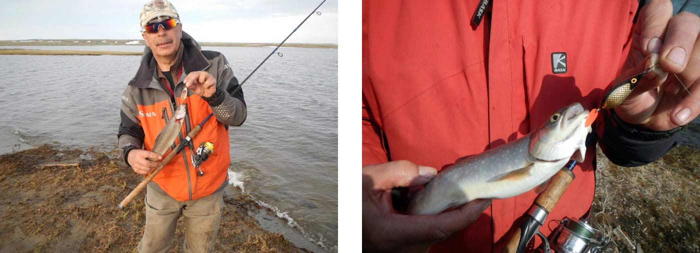 Фото отчёт о летней рыбалке. Автор в статье расскажет о ловле хариуса на блесна.