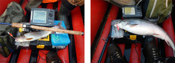 Фото отчёт о летней рыбалке. Автор в статье расскажет о ловле хариуса на блесна.