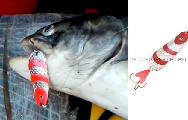 Фото отчёт о летней рыбалке. Автор в статье расскажет о ловле хариуса на блесна.