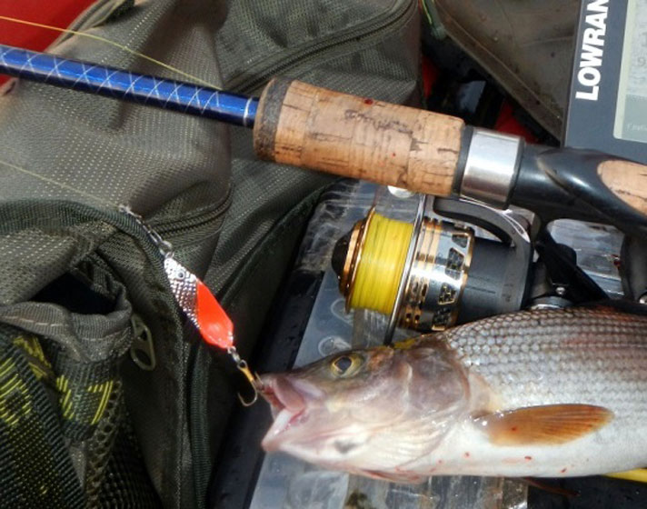 Фото отчёт о летней рыбалке. Автор в статье расскажет о ловле хариуса на блесна.