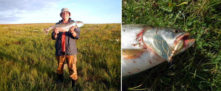 Фото отчёт о летней рыбалке. Автор в статье расскажет о ловле хариуса на блесна.