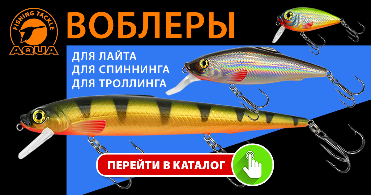 wobbler-aqua-kloss-and-two-pikes-fishing-against-the-forecast