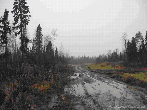 Фотоотчет о рыбалке на Кельдозерье со снастями АКВА, эксперименты с балансирами. Главный трофей этого дня неожиданная сорожка и щука. 