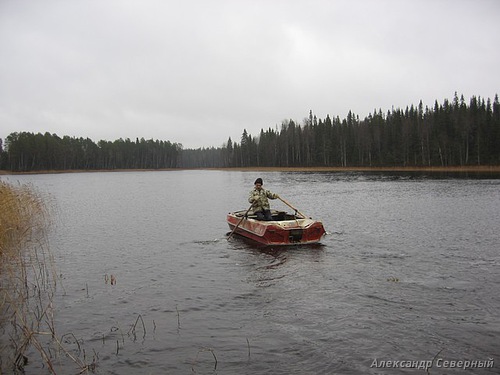 Отчет о зимней рыбалке в Двинской области на балансир и мормышку. Осенний лес неожиданно превращается в зимний, но рыбалка всё-же удалась. 