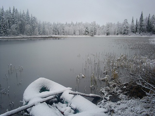 Отчет о зимней рыбалке в Двинской области на балансир и мормышку. Осенний лес неожиданно превращается в зимний, но рыбалка всё-же удалась. 