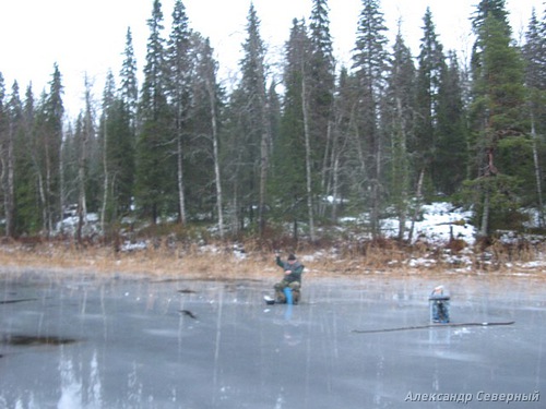 Отчет о таежной рыбалке на первом льду с блеснами AQUA.