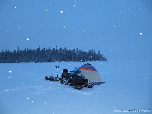 Статья с фотографиями о зимней рыбалке в Архангельской области. Самой уловистой оказывается зимняя блесна Аква Срез, на которую неоднократно ловится северный сиг. 