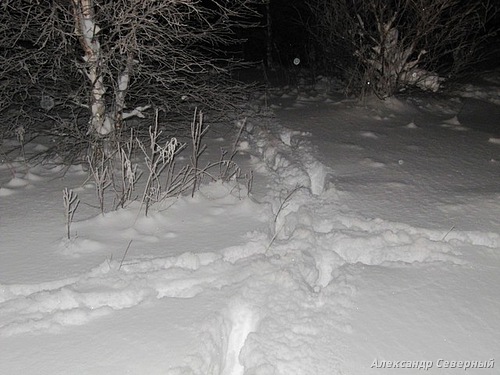 Статья о зимней рыбалке на глухом озере поморья с блеснами и балансирами AQUA