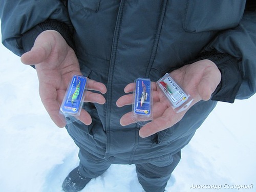 Статья о зимней рыбалке на глухом озере поморья с блеснами и балансирами AQUA