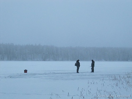 Статья о зимней рыбалке на глухом озере поморья с блеснами и балансирами AQUA