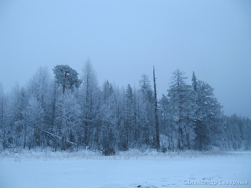 Статья о зимней рыбалке на глухом озере поморья с блеснами и балансирами AQUA