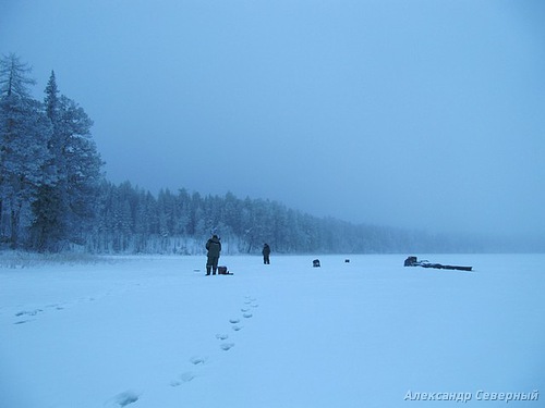 Статья о зимней рыбалке на глухом озере поморья с блеснами и балансирами AQUA