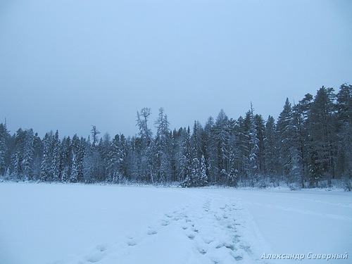 Статья о зимней рыбалке на глухом озере поморья с блеснами и балансирами AQUA