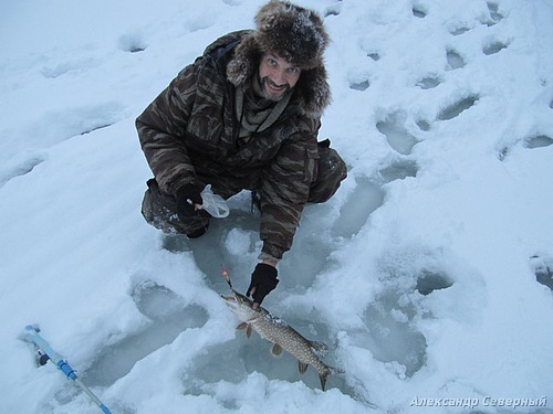 Статья о зимней рыбалке на глухом озере поморья с блеснами и балансирами AQUA