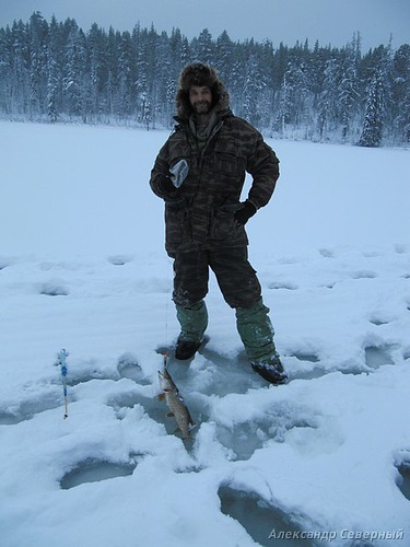 Статья о зимней рыбалке на глухом озере поморья с блеснами и балансирами AQUA