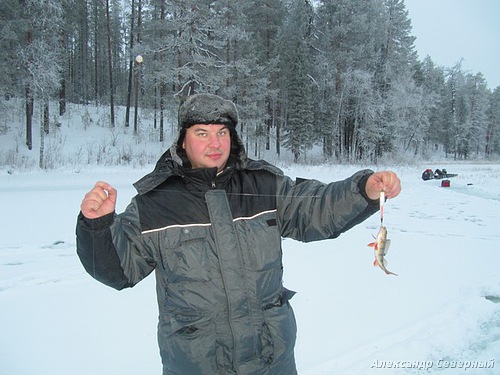 Статья о зимней рыбалке на глухом озере поморья с блеснами и балансирами AQUA