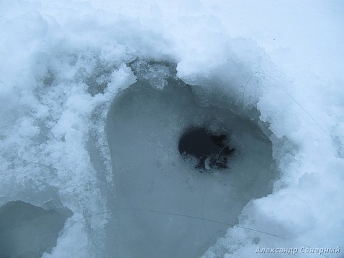 Статья о зимней рыбалке на глухом озере поморья с блеснами и балансирами AQUA