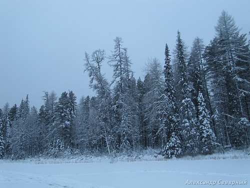Статья о зимней рыбалке на глухом озере поморья с блеснами и балансирами AQUA