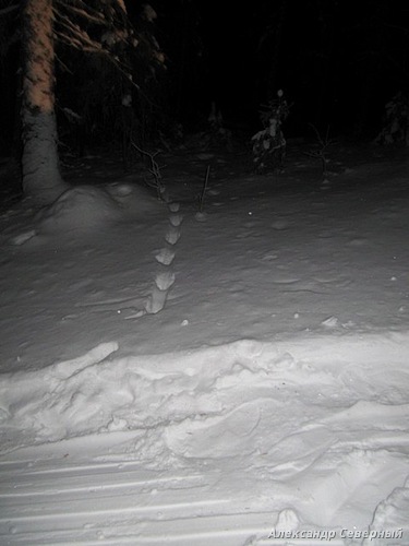 Статья о зимней рыбалке на глухом озере поморья с блеснами и балансирами AQUA