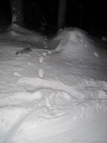 Статья о зимней рыбалке на глухом озере поморья с блеснами и балансирами AQUA