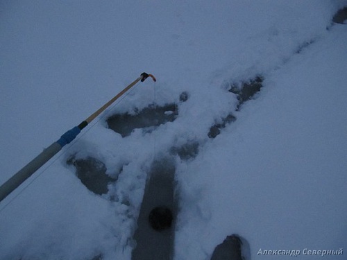 Статья о зимней рыбалке на глухом озере поморья с блеснами и балансирами AQUA