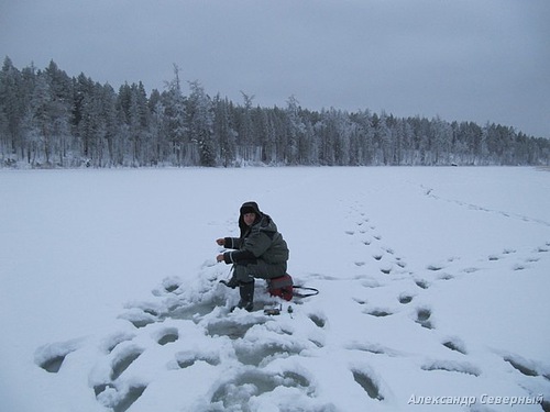 Статья о зимней рыбалке на глухом озере поморья с блеснами и балансирами AQUA