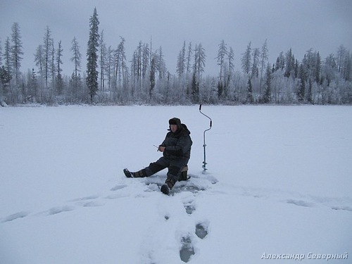 Статья о зимней рыбалке на глухом озере поморья с блеснами и балансирами AQUA