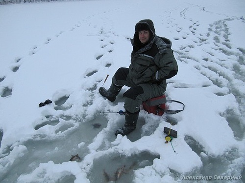 Статья о зимней рыбалке на глухом озере поморья с блеснами и балансирами AQUA