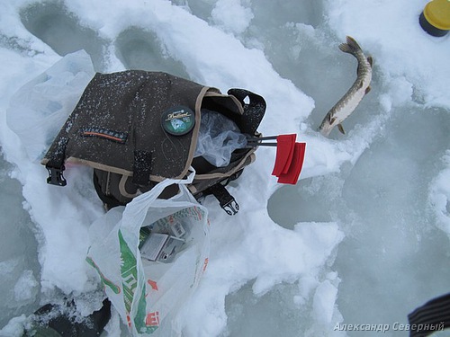 Статья о зимней рыбалке на глухом озере поморья с блеснами и балансирами AQUA