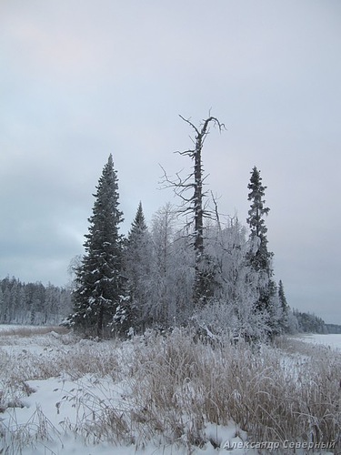 Статья о зимней рыбалке на глухом озере поморья с блеснами и балансирами AQUA