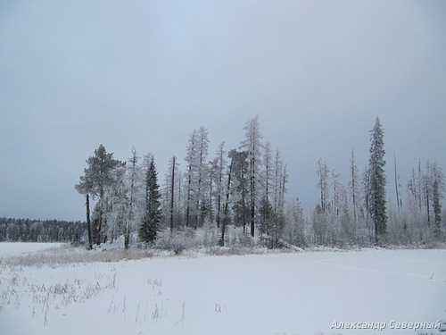 Статья о зимней рыбалке на глухом озере поморья с блеснами и балансирами AQUA