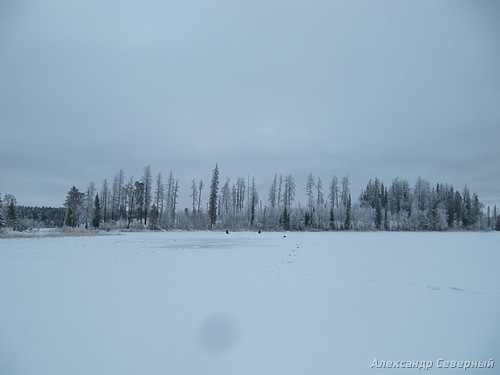 Статья о зимней рыбалке на глухом озере поморья с блеснами и балансирами AQUA