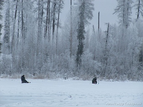 Статья о зимней рыбалке на глухом озере поморья с блеснами и балансирами AQUA