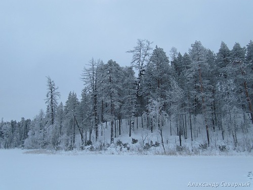 Статья о зимней рыбалке на глухом озере поморья с блеснами и балансирами AQUA