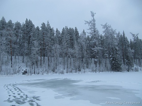 Статья о зимней рыбалке на глухом озере поморья с блеснами и балансирами AQUA