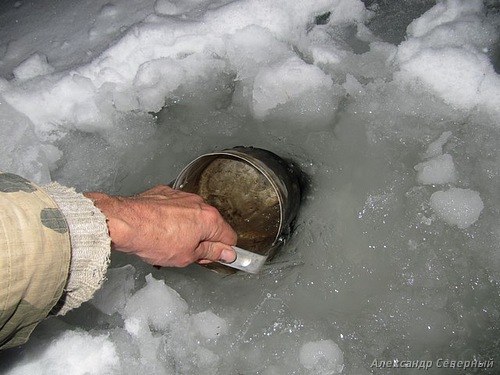 Статья о зимней рыбалке на глухом озере поморья с блеснами и балансирами AQUA