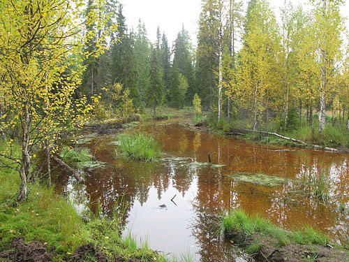 Статья о зимней рыбалке на глухом озере поморья с блеснами и балансирами AQUA