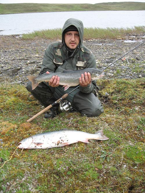 Летняя рыбалка на Приполярном Урале. Ловля на спиннинг. Тестирование блесен, вертушек и воблеров на щуку, годьца, омуля и окуня.