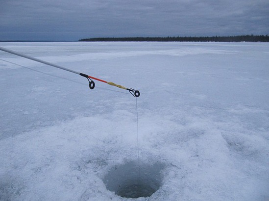 Зимняя блесна на окуня. Статья о рыбалке.